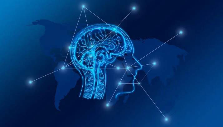 NeuroTonix Supplement Brain Probiotic Supports A Healthy Memory